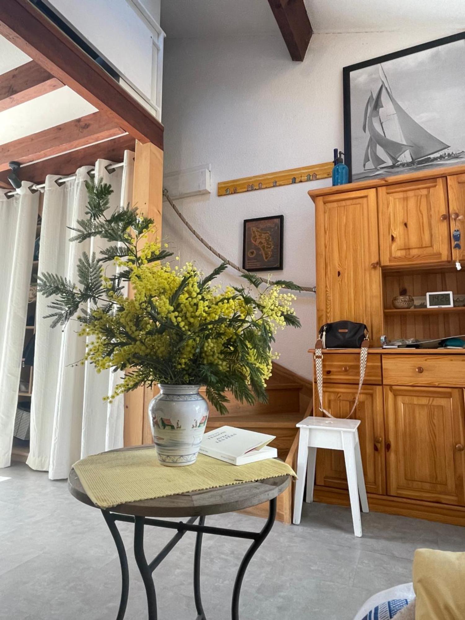 Les Mimosas